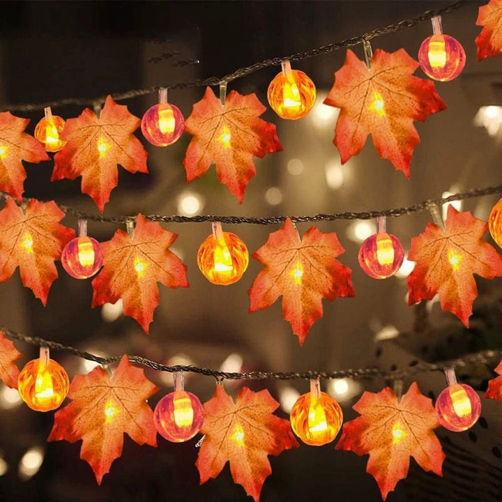 Halloween LED Pumpkin Lantern and Maple Leaf Decorative Fairy Lights