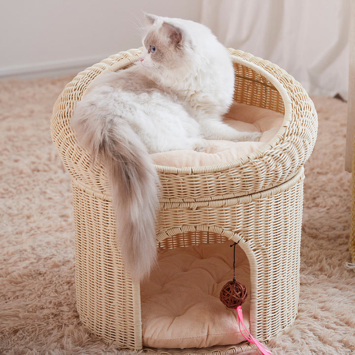 Cat bed