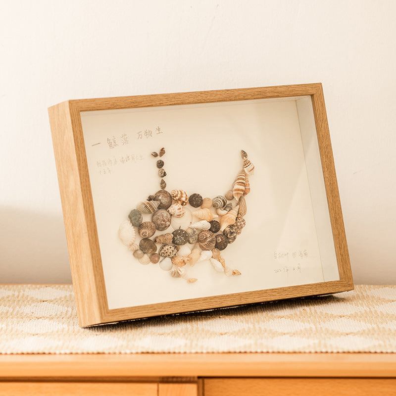 Shell Display Shadow Box