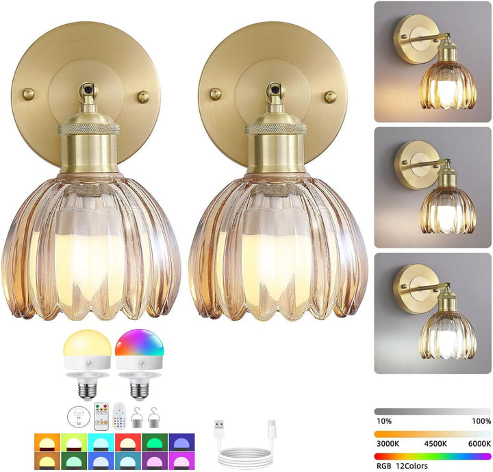 Elegant Glass Wall Lantern
