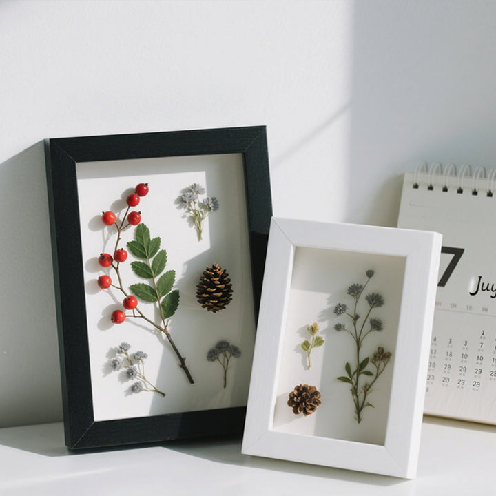 Framed Botanical Art Display