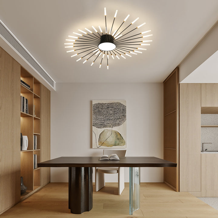 Star Explosion Ceiling Light