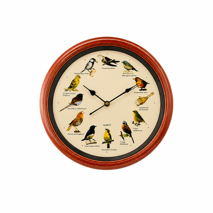 Wall clock with colorful bird design