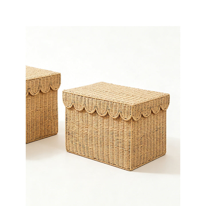 Storage basket with lid