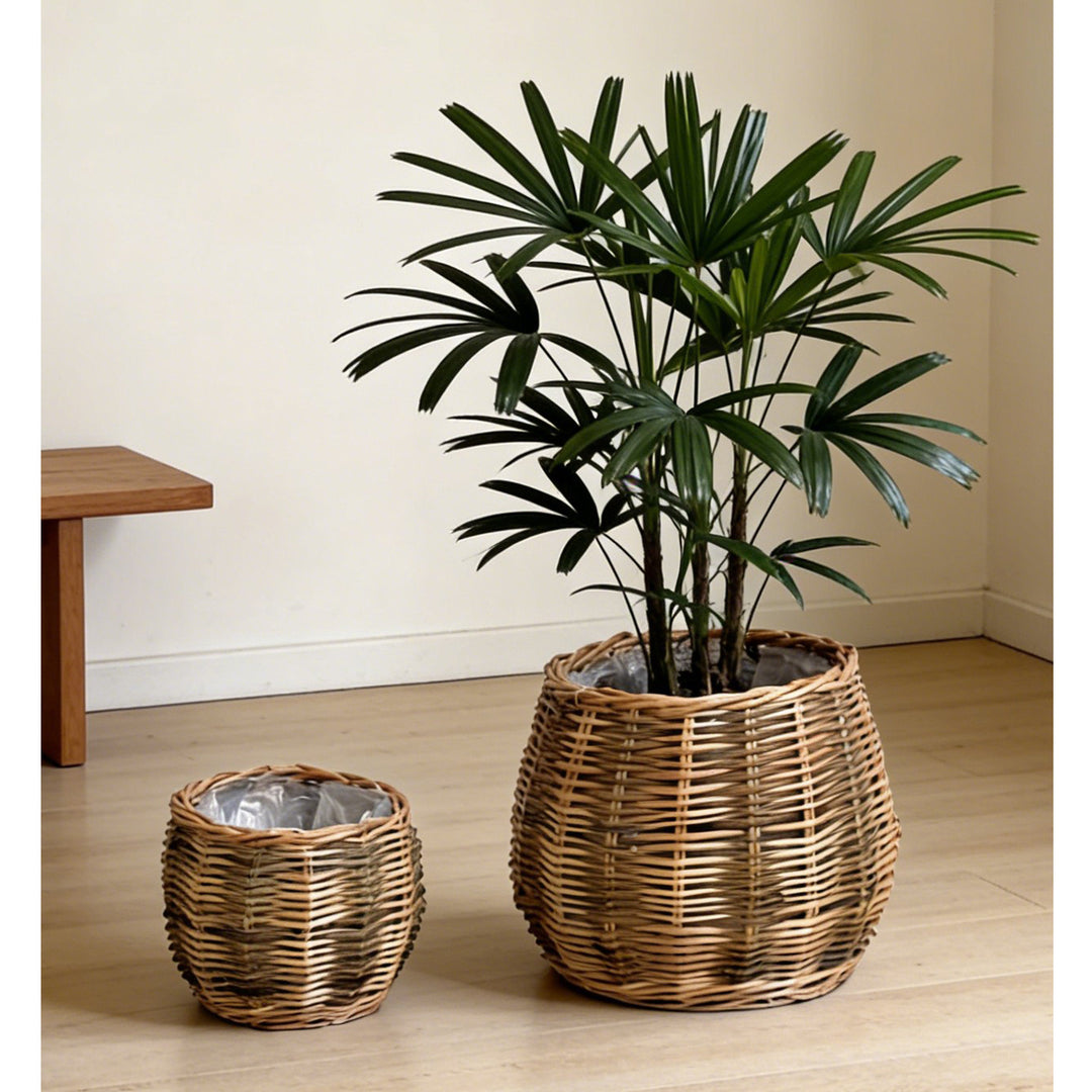 High-quality plant basket made of natural willow