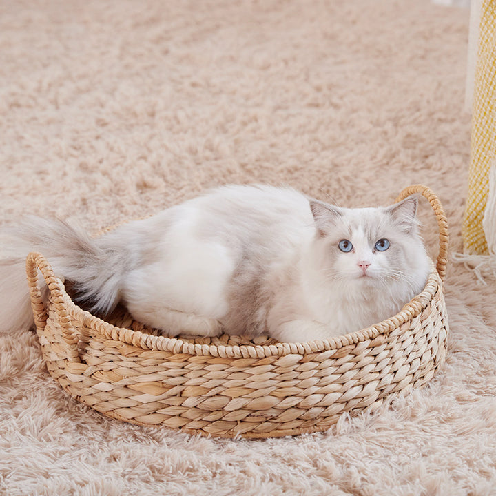 Cozy Cat Bed