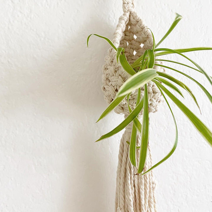 Bohemian Plant Holder