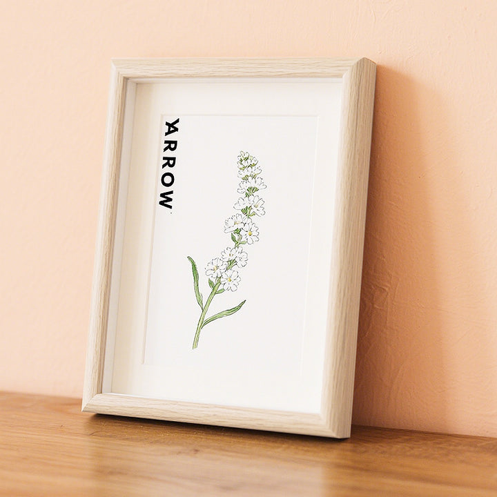 Botanical Illustration Art Frame