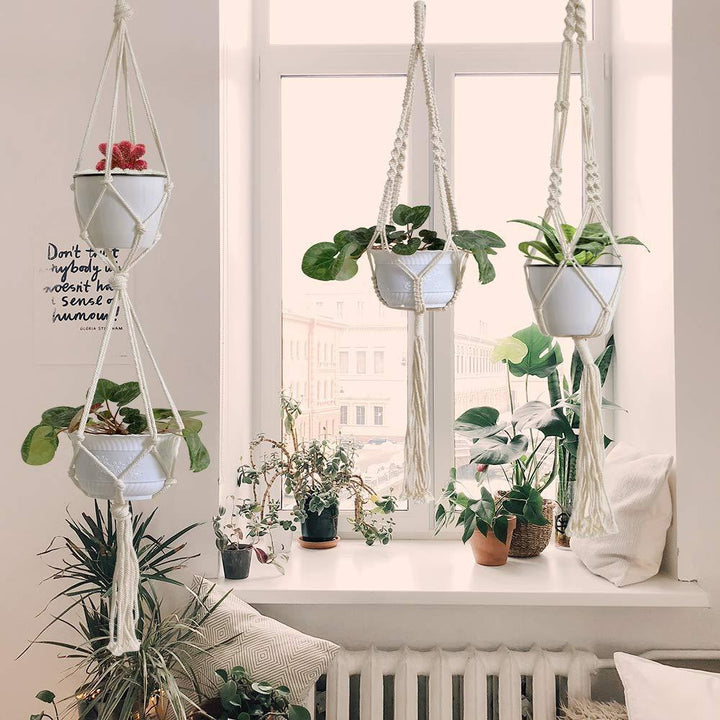 Macrame Plant Hanger