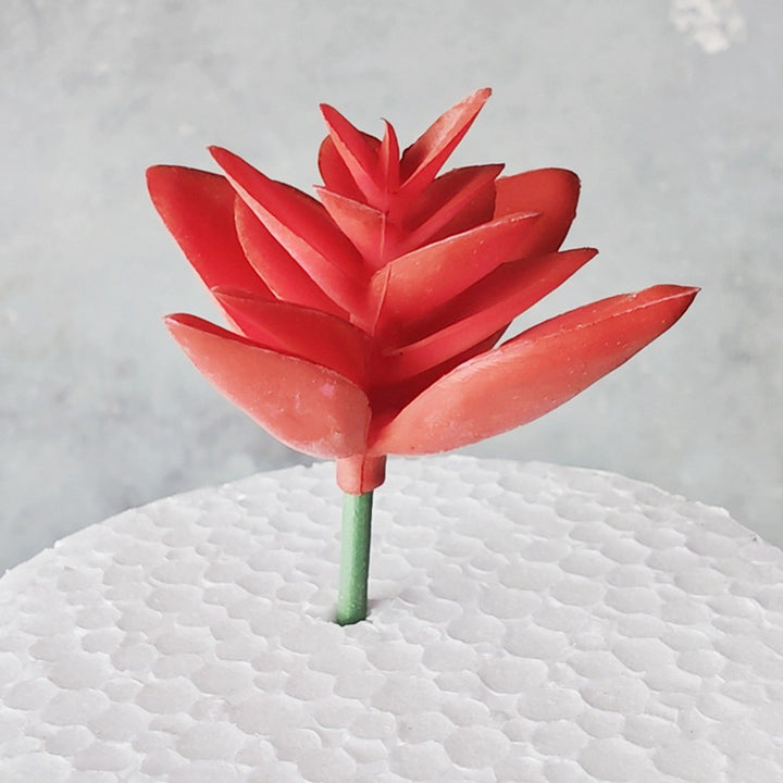 Decorative Succulent Stones