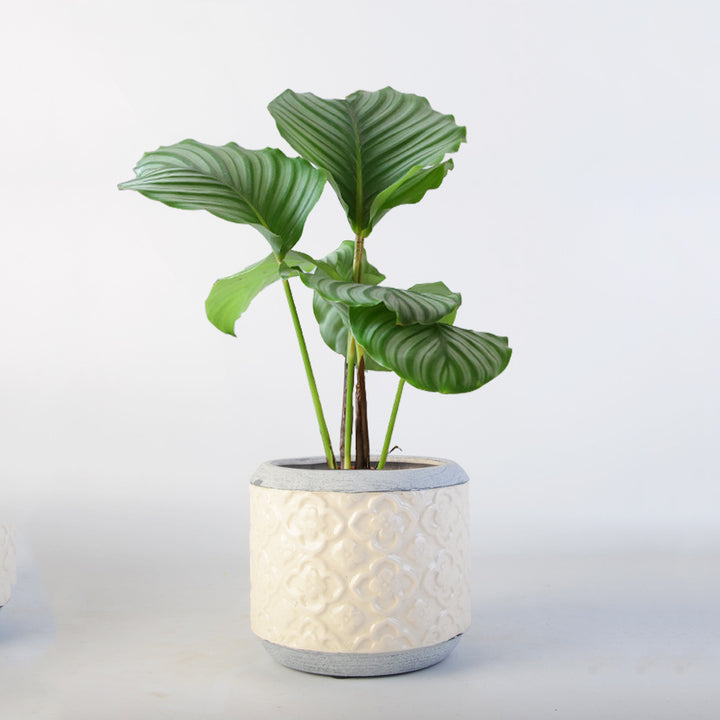 Flower pot