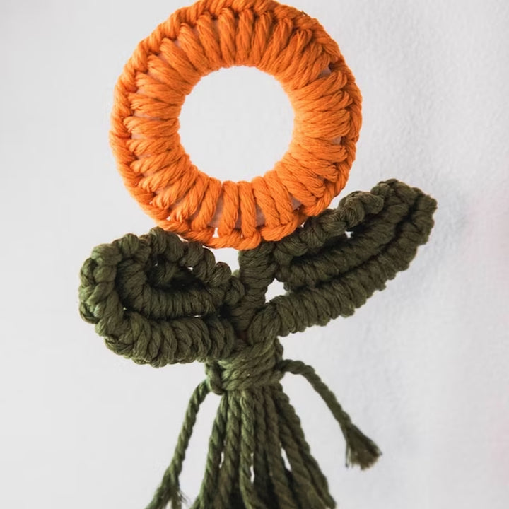 Decorative Macrame Plant Ornament