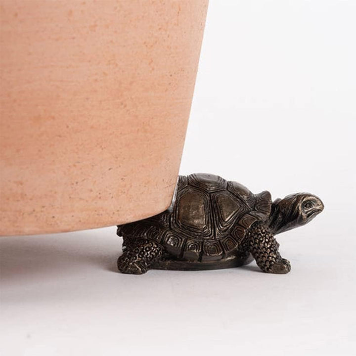 Turtle Figurine Set