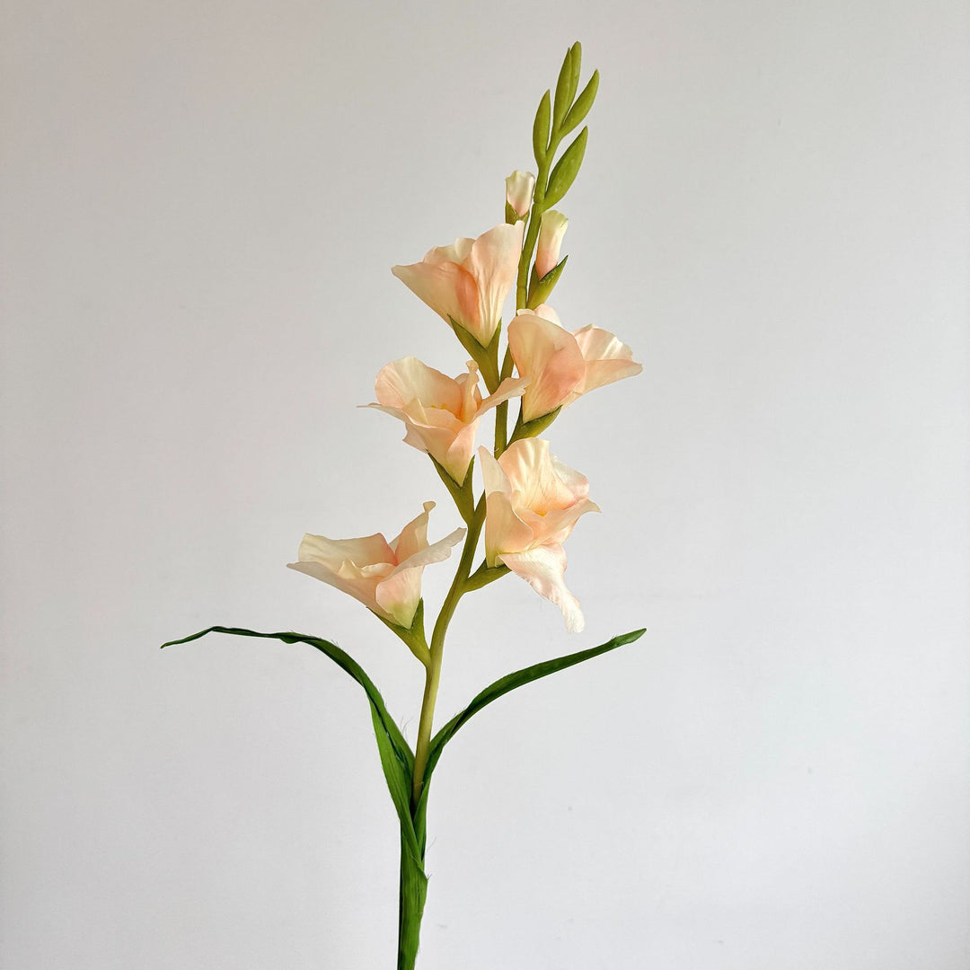 Elegant Gladiolus Floral Stem