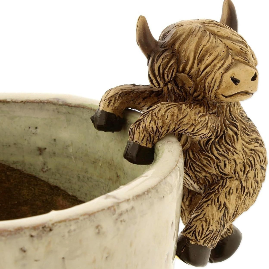Playful Highland Cow Figurine
