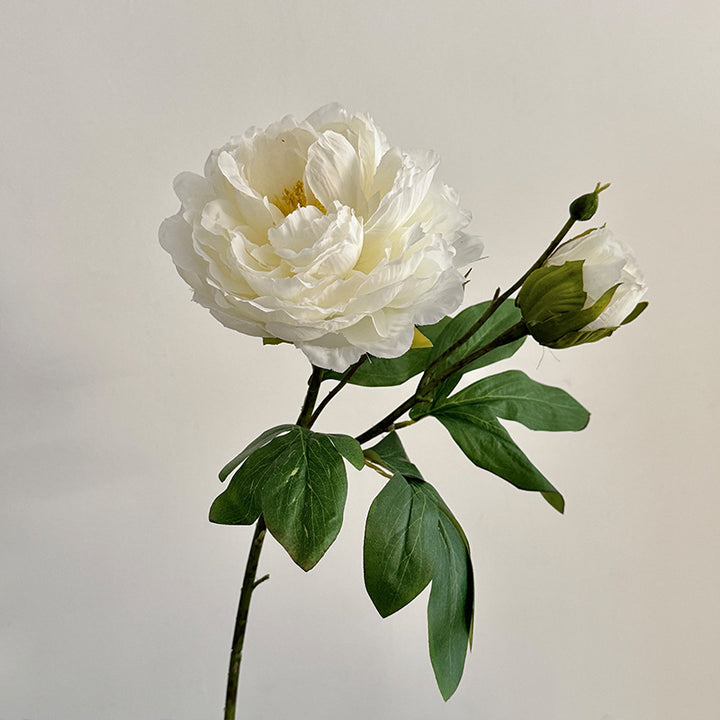 Lifelike Peony Flower Stem