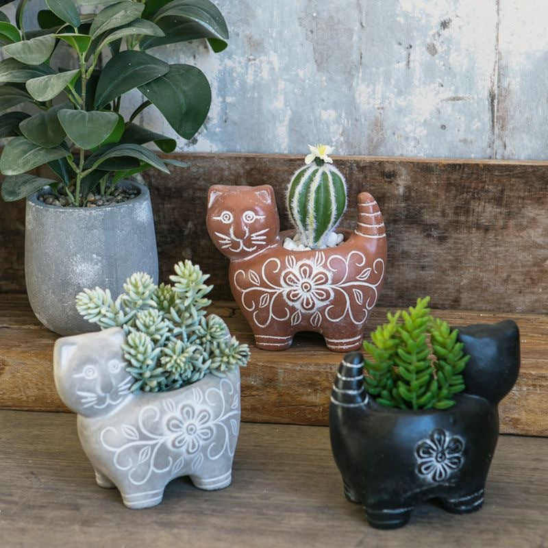 Decorative Plant