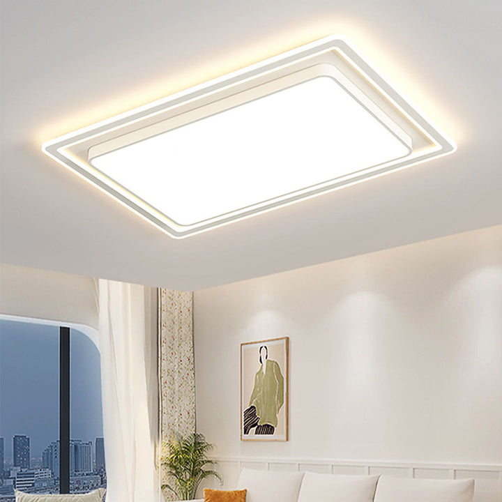 Modern Decorative Ceiling Light