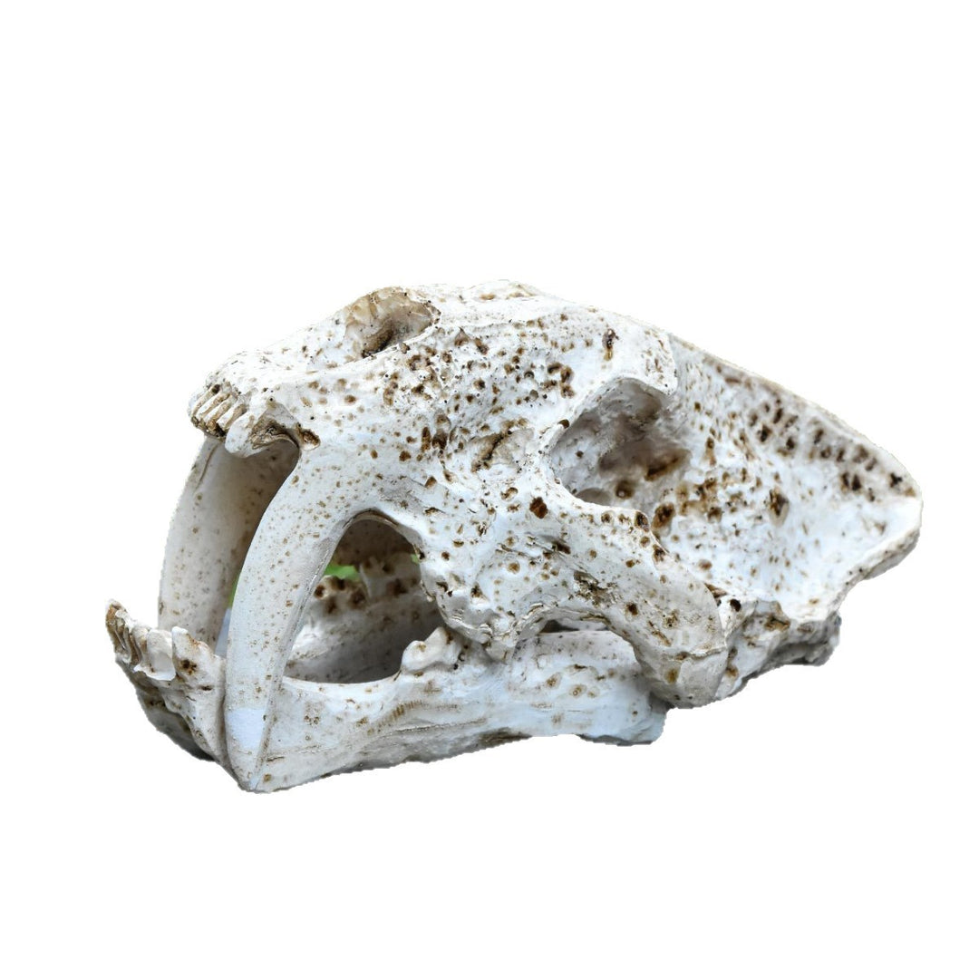 Decorative Animal Skull Figurine