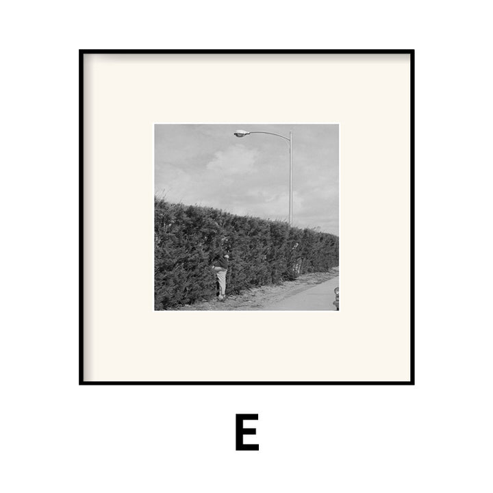 Framed Black and White Photography Artwork