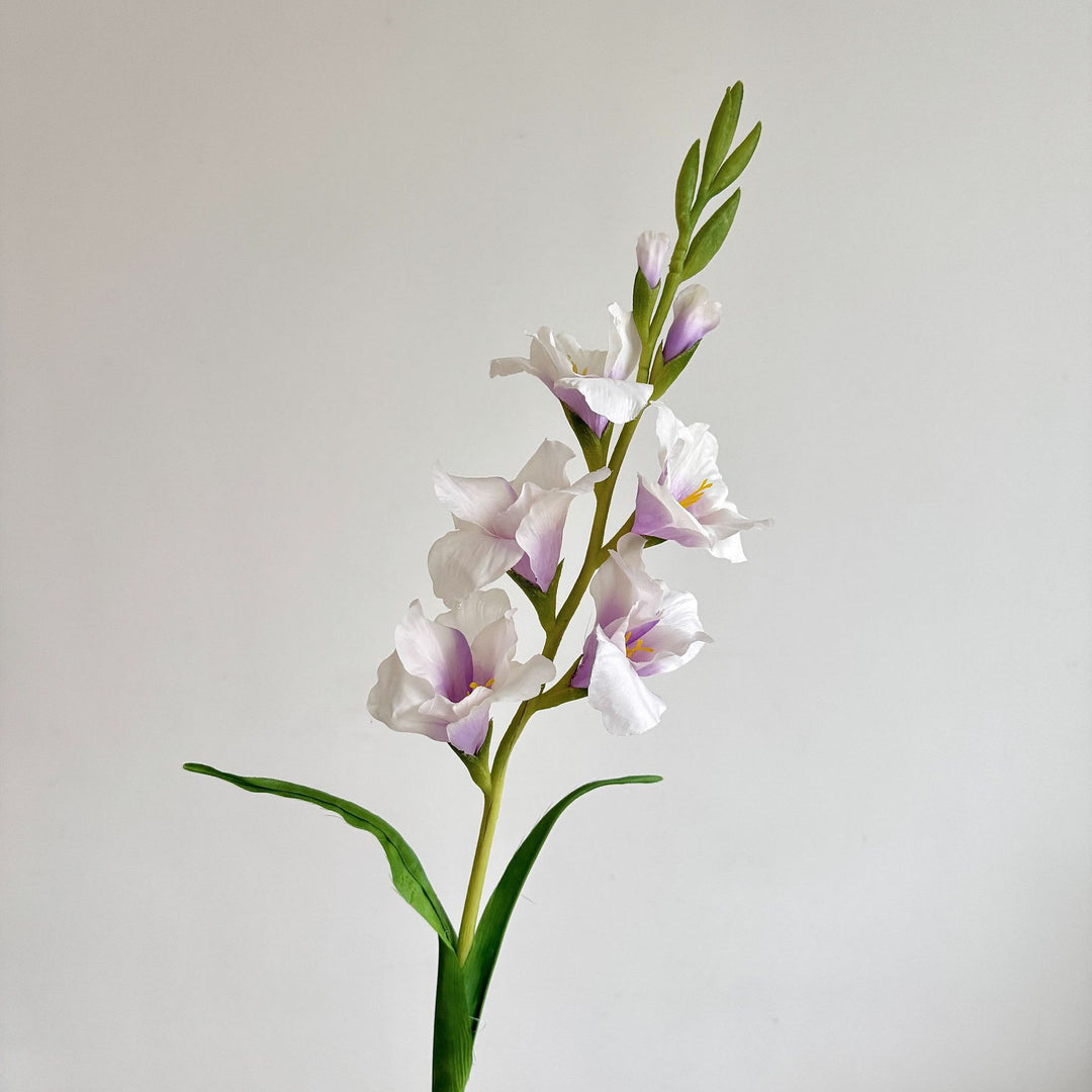 Elegant Gladiolus Floral Stem
