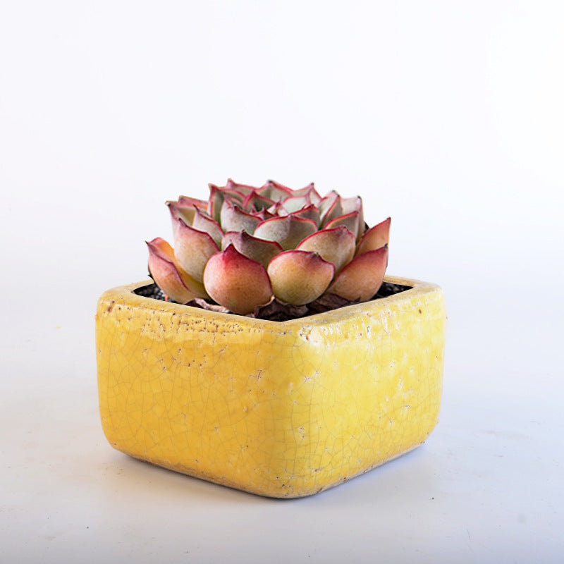 Deko Pot
