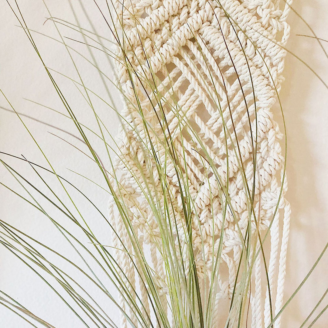 Macrame Wall Hanging Plant Holder