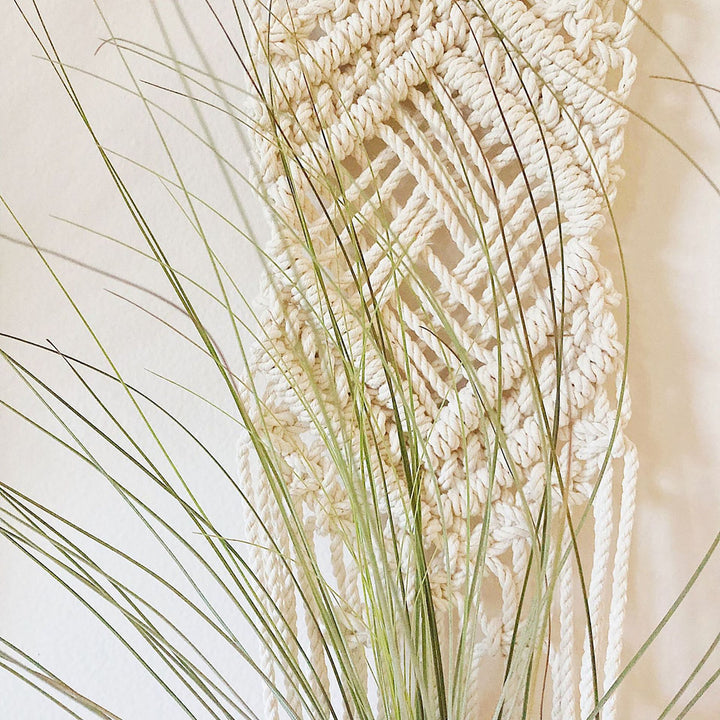 Macrame Wall Hanging Plant Holder