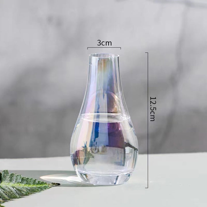 Elegant Glass Water Carafe