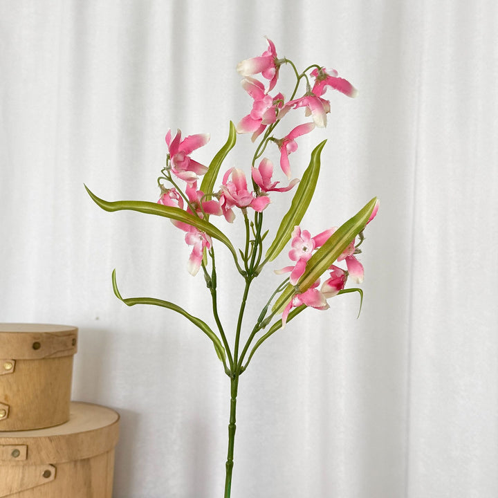 Elegant Orchid Flower Stem
