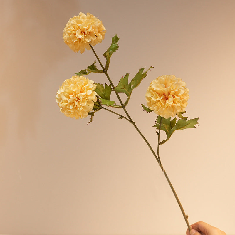 Artistic Flower Arrangements