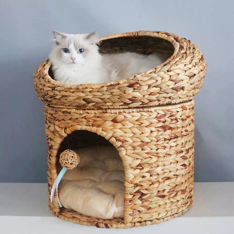 Cat bed
