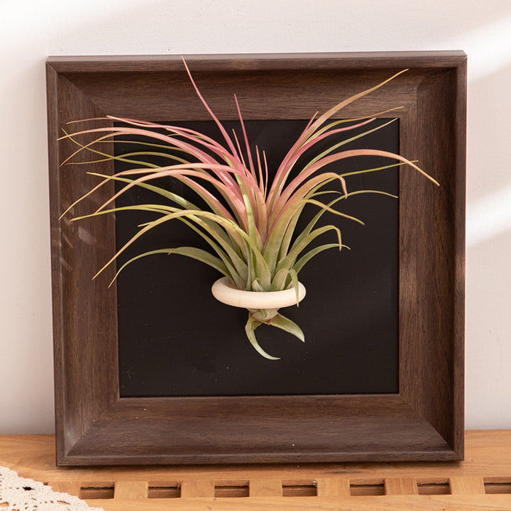 Wall Art for Home Decoration