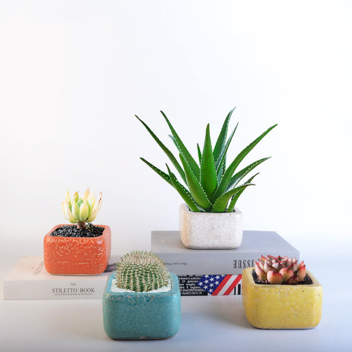 Deko Pot