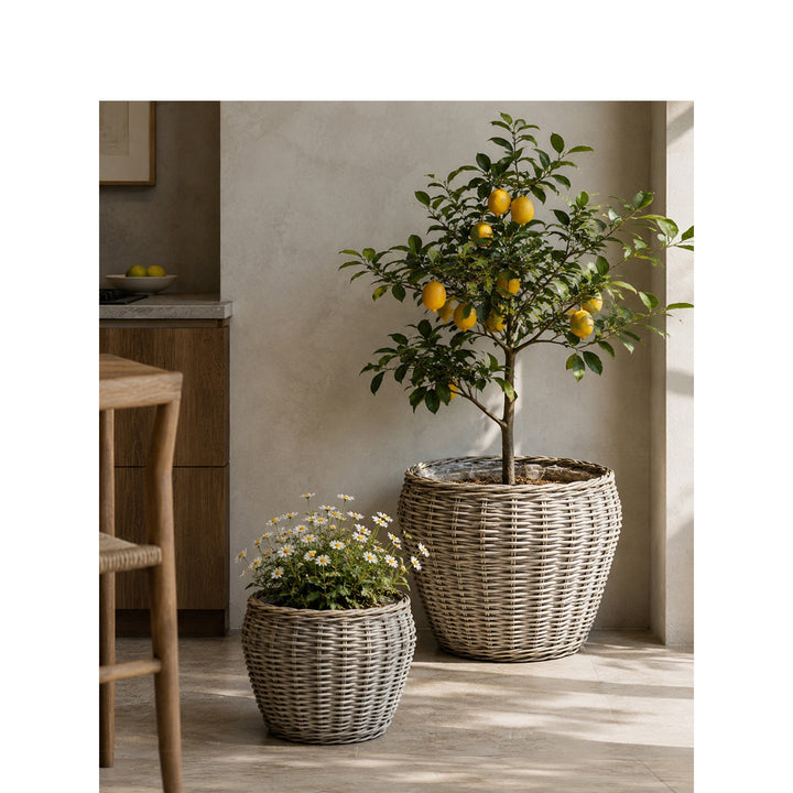 Decorative plant basket with plastic inner bag