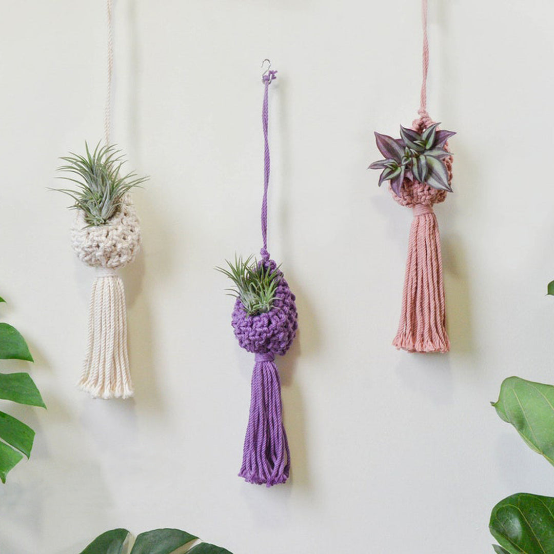 Macrame Hanging Plant Holder with Decorative Tassel
