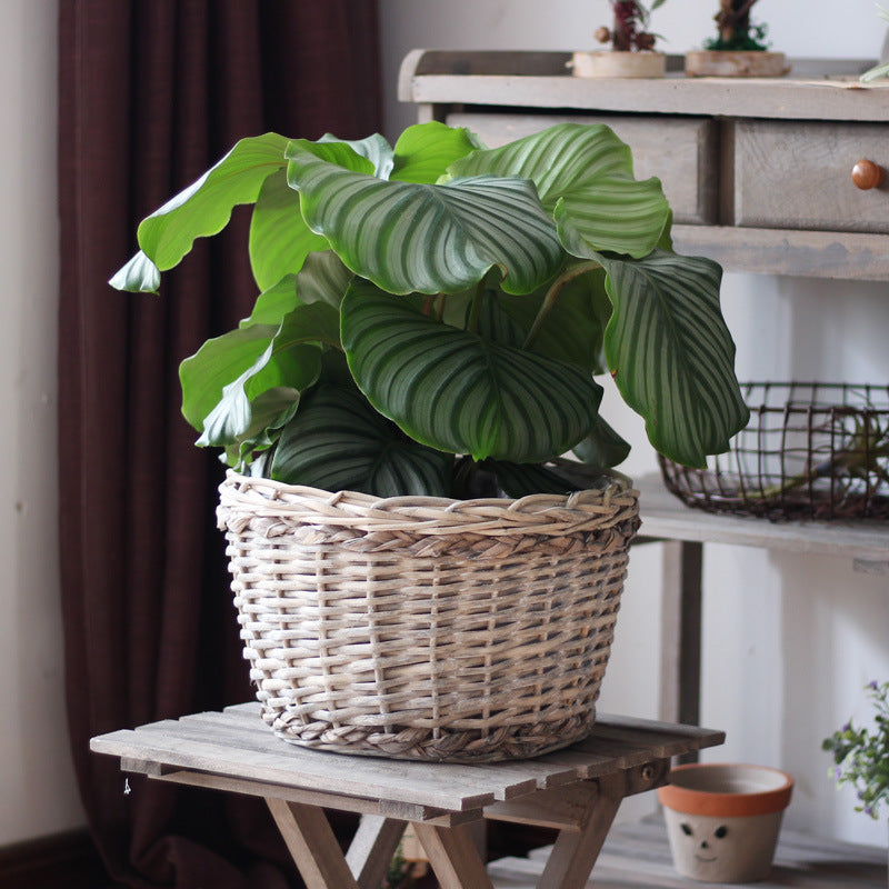 Rustic storage basket made of natural material