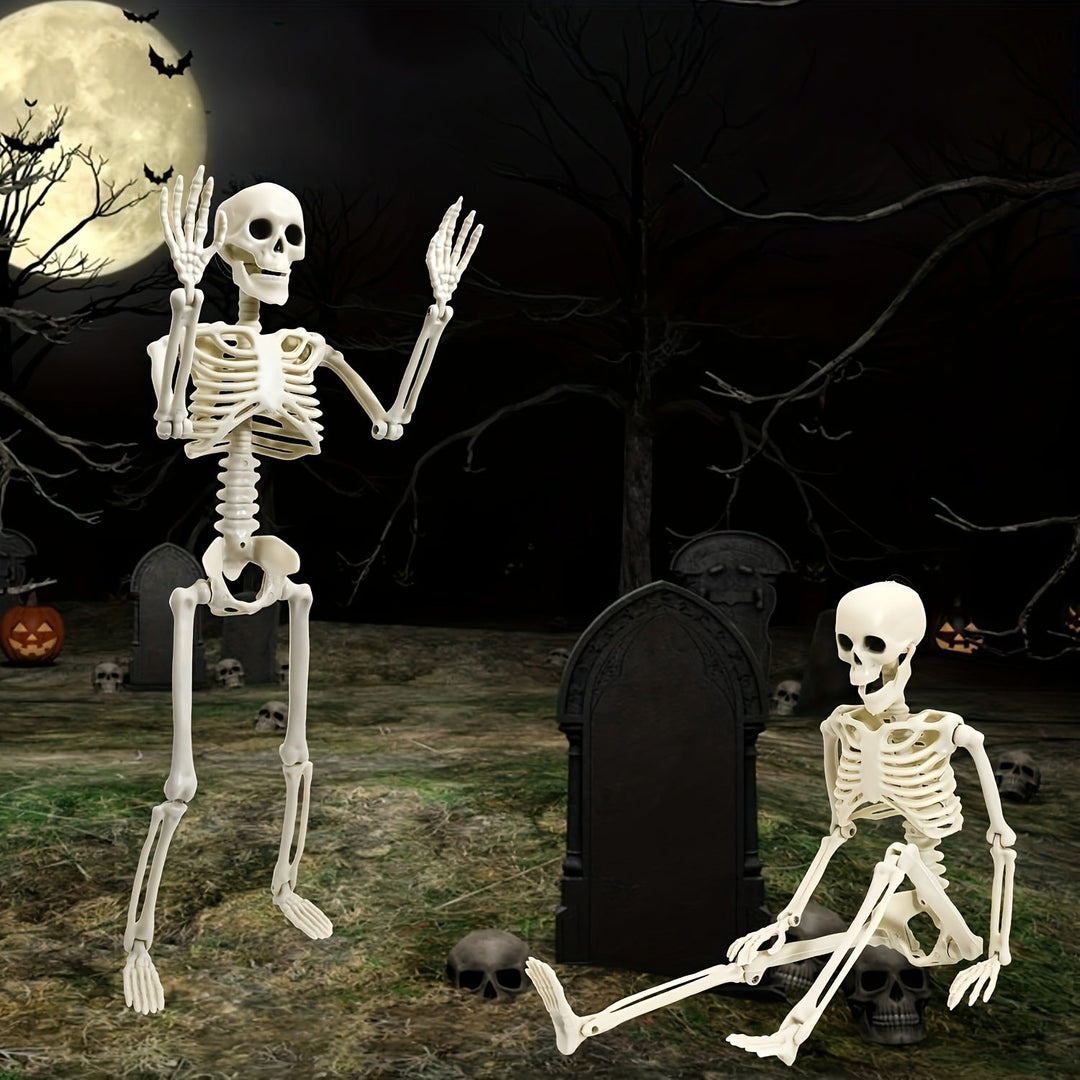 Anatomical teaching skeleton