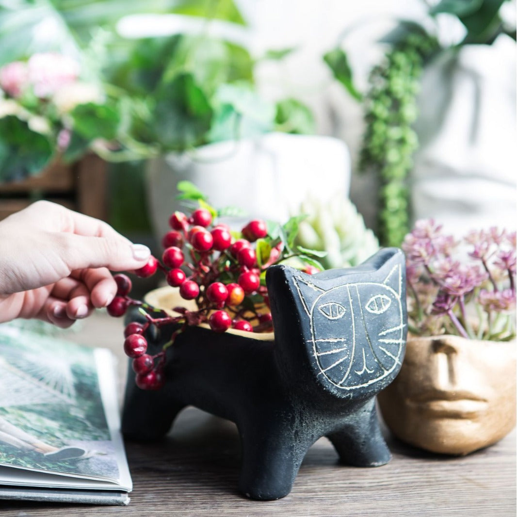 Decorative Plant Bowl