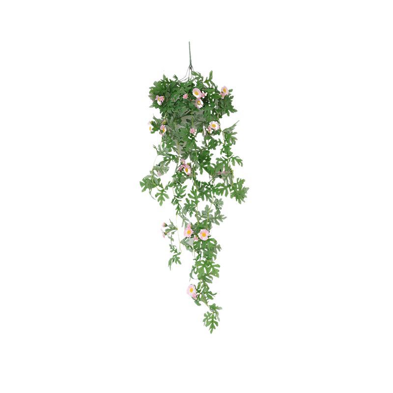 Hanging Decorative Plant