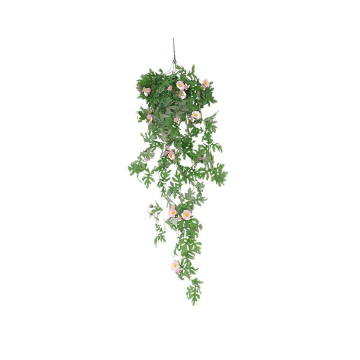 Hanging Decorative Plant