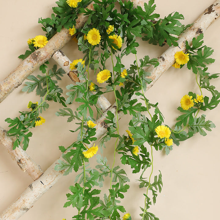 Hanging Decorative Plant