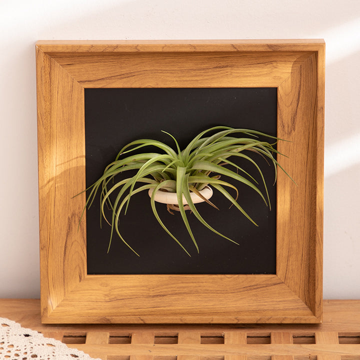 Wall Art for Home Decoration