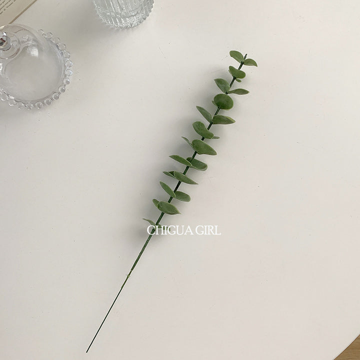 Realistic Eucalyptus Stem