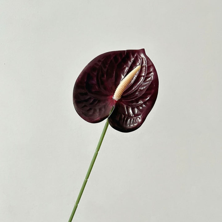 Elegant Orchid Floral Stem