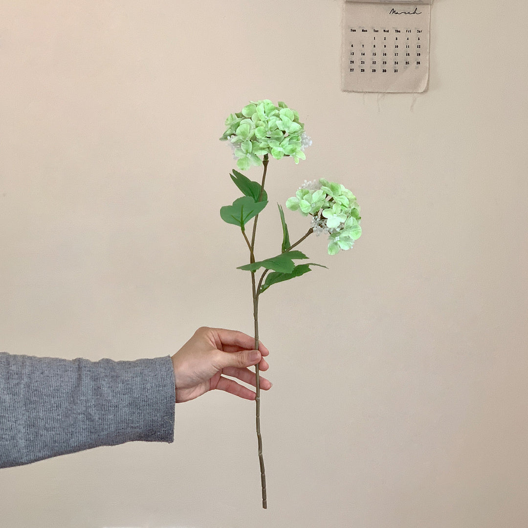 Realistic Hydrangea Stem