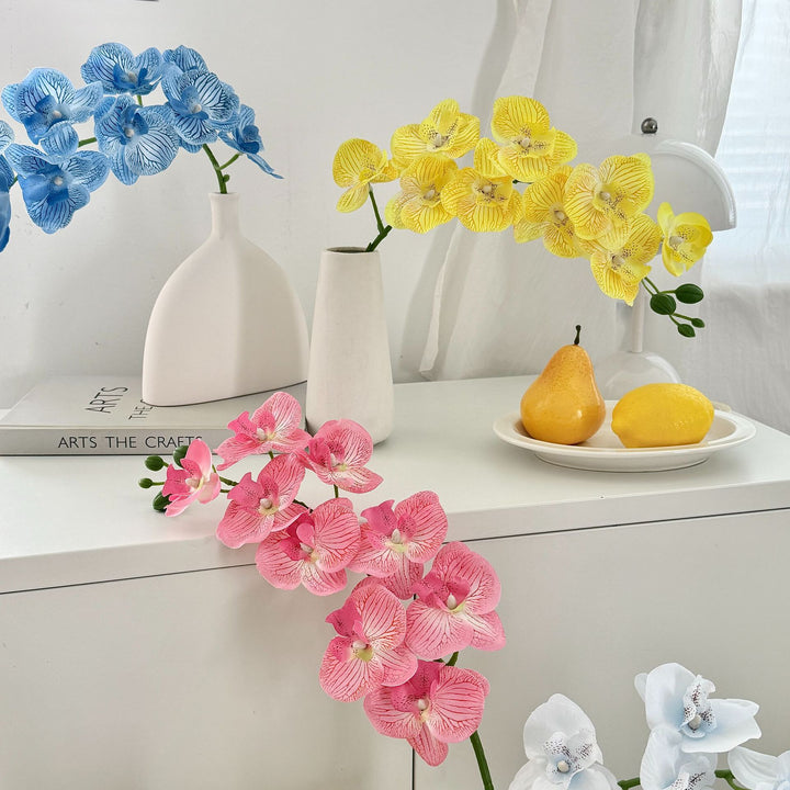 Decorative Orchid