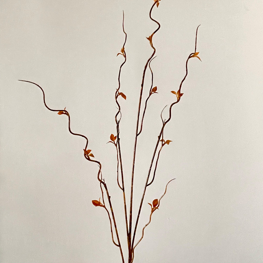 Decorative Twisted Branch Arrangement