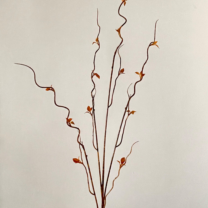 Decorative Twisted Branch Arrangement