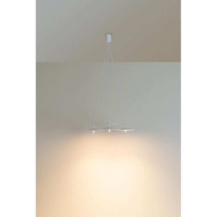 Modern Curves Pendant Light